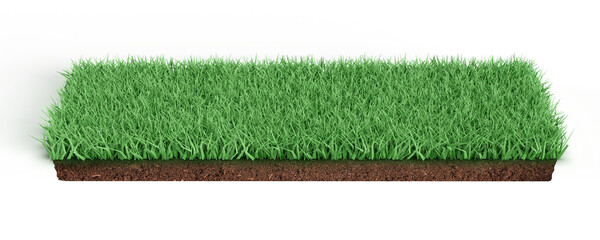 3d rendering of green grass field isolated