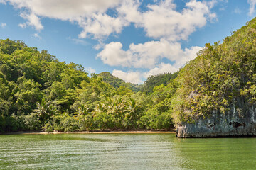 Samaná República Dominicana Aitises