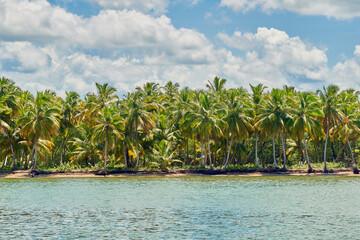 Samaná República Dominicana Aitises