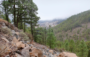 Around Vilaflor at Tenerife