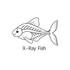 X-Ray Fish. Vector Illustration.	