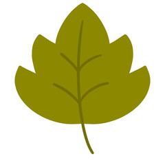 Autumn and Fall Maple Leaf Decoration