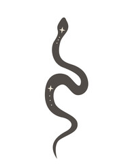 Collection of vector magic fairy tale elements, icons and illustrations. Snake.