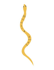 Collection of vector magic fairy tale elements, icons and illustrations. Snake.