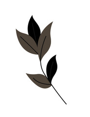 Collection of vector magic fairy tale elements, icons and illustrations. Herb.