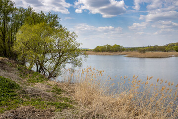 Sunlight through the clouds illuminates the young greenery of bushes and trees. Rural spring landscape with a river, clouds over the horizon.