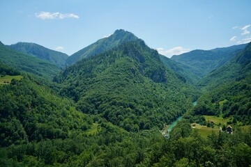 Naklejka na ściany i meble Tara Valley Montenegro 2022 June