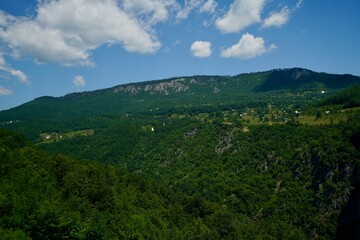 Fototapeta na wymiar Tara Valley Montenegro 2022 June