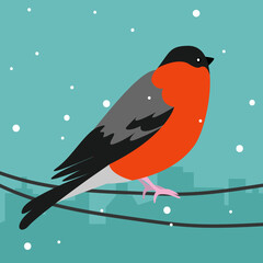 Bullfinch sits on wires in winter, illustration