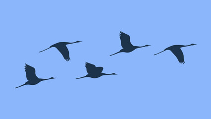 Storks fly in the sky, illustration, vector, cartoon
