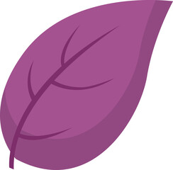 Basil leaf Herb Spice. Vector illustration