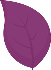 Basil leaf Herb Spice. Vector illustration