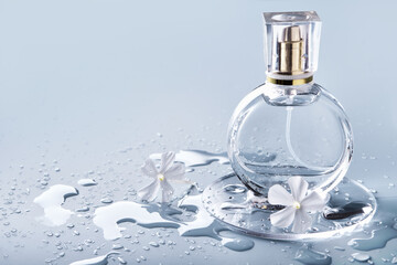 Glass perfume bottle, drops water and white flowers on blue background. Winter or spring floral fragrance