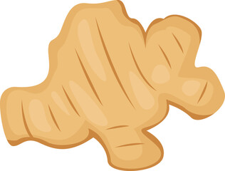 Ginger root Herb Spice. Vector illustration