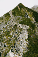trail in the mountains