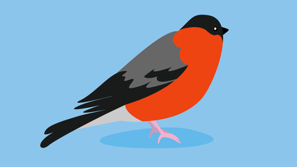 Bullfinch, side view, illustration, vector