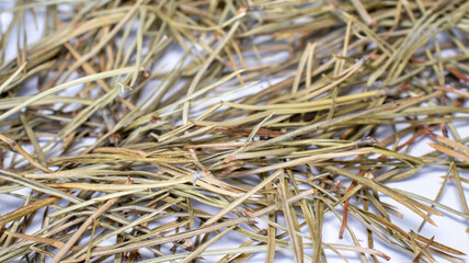 Dried fir needles isolated on white background. After christmas