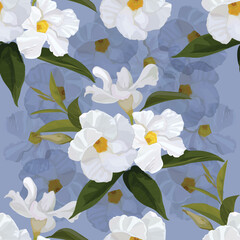 Fototapeta na wymiar White Rose dipladenia seamless pattern