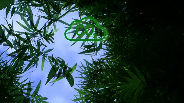 Bamboo CO2 Dissolve Blur