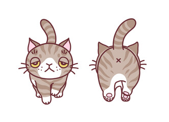 Cute gray walking cat front and back view minimal vector illustration. Doodle cartoon cats series. 