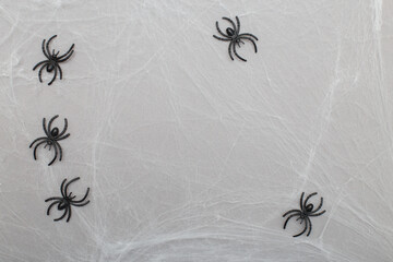 spider web with black spiders on an gray background. halloween concept. copy space