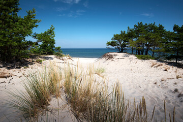 Fototapeta Baltic Sea. Beautiful beach, coast and dune on the Hel Peninsula. Piękne plaże półwyspu helskiego z widokiem na wydmę, roślinność wydmową, piasek i morze bałtyckie.	 obraz