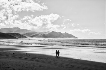 Walkers and dogs, Castlepoint Beach, New Zealand