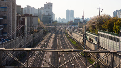 Fototapeta premium railroad track reflected in the sunset light 
