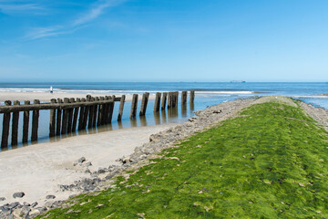 North sea beach with breakwaters on the island of Wangerooge on a sunny and blue spring day.