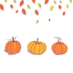 A set of pumpkins. Vector collection of pumpkins on a white background. Elements for autumn decorative design, Halloween invitations, harvest thanksgiving