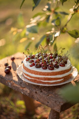 Photo of a homemade cake decorated with fresh cherries.