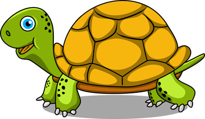 turtle in transparent isolated background