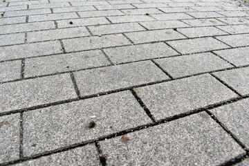 煉瓦柄のアスファルト