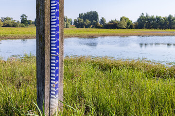 Low water is clearly visible by the water level meter in the Blauwe Kamer nature reserve of the...