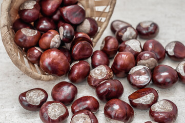 Chestnuts poured out of a straw basket on ceramic floor.