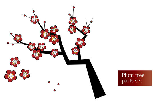 梅の木 の画像 109 522 件の Stock 写真 ベクターおよびビデオ Adobe Stock