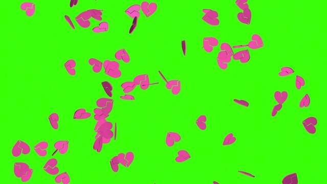 Falling pink broken hearts on a green screen background. 3D render animation. Video effect for valentine's day and wedding. Green screen. Rain from hearts.