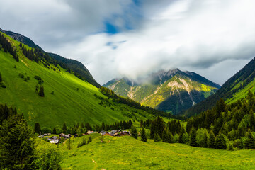 Obraz premium Fallerschein during spring in austria in the alps