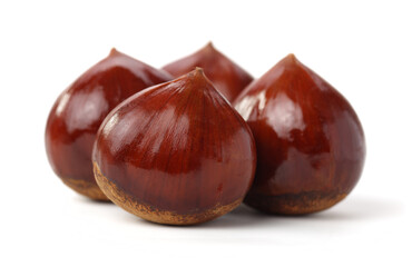 Chestnut on the white background