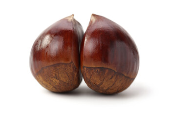 Chestnut on the white background