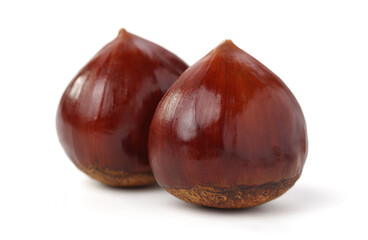 Chestnut on the white background