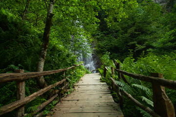 Summer Season in the Zilkale Castl and Tar Waterfall, Camlihemsin Rize, Turkey