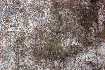 Colorful natural stone background texture. Stone texture background. Details of stone texture.