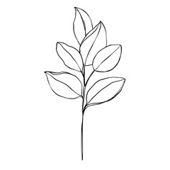 Plant line art illustration
