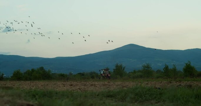 Tractor driver finished work after a hard day's work. Tractor harvests against the backdrop of high mountains at sunset