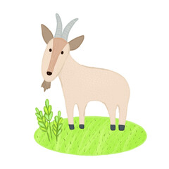 Hand drawn illustration of farm animal. Cute goat. Kids illustration 