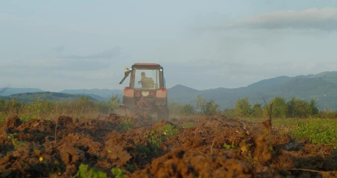 Farmer in Soviet tracktor cultivating land with a spike tooth harrow cutting, birds in the field looking for food