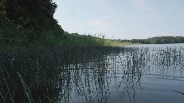 view of wdzydze lake in Poland.