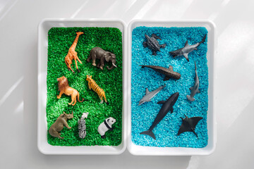 Ocean and land sensory sorting activity. Green and blue colored rice in the sensory box. Sorting...