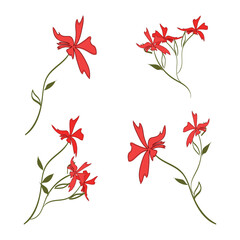 Bright red flowers seamless pattern. Floral background isolated on white.
